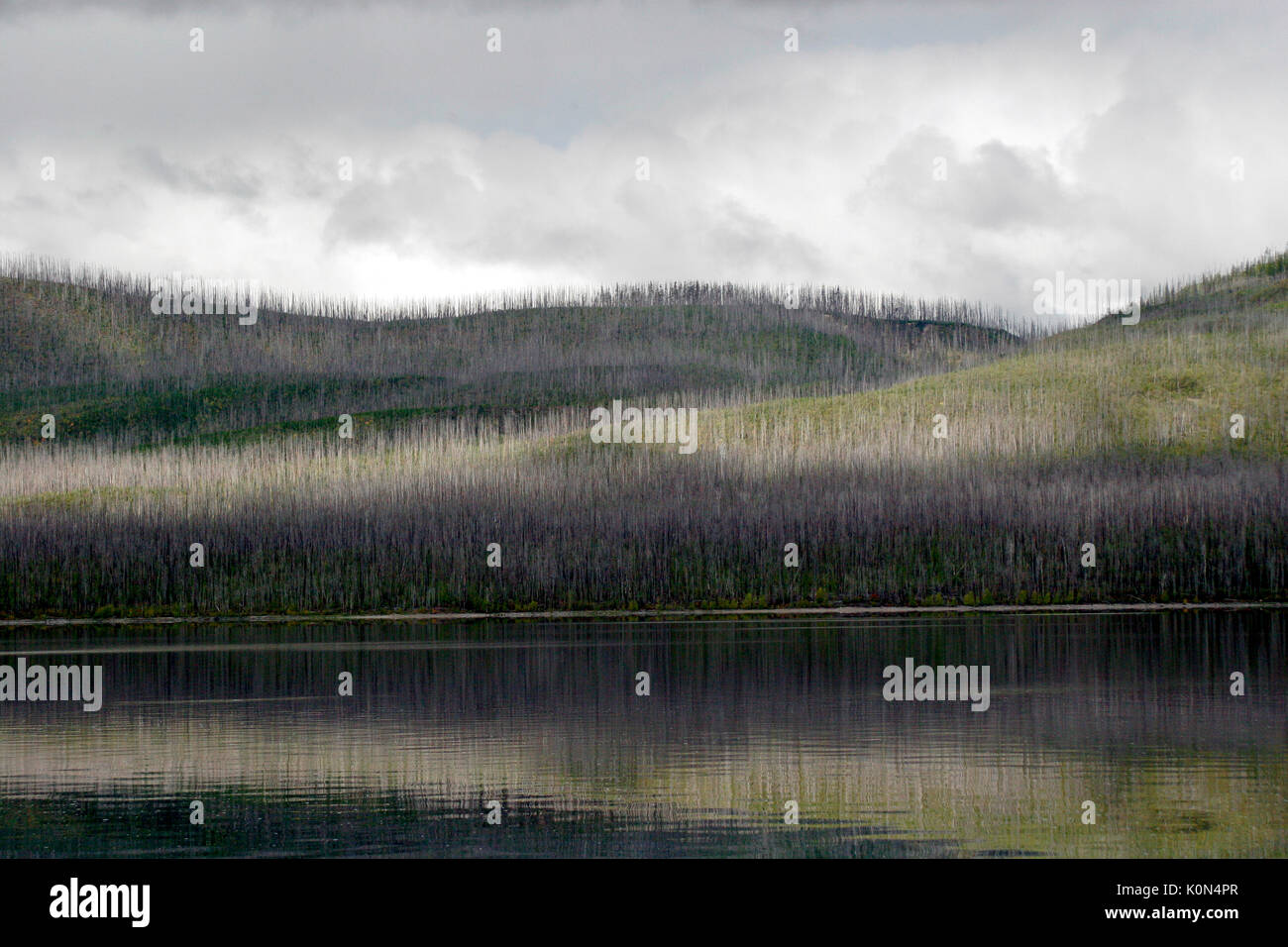 Réflexions DU LAC MCDONALD COLLINE - Glacier National Park, Montana Banque D'Images