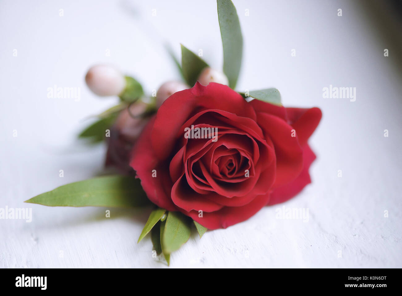 Accessoires de mariage : d'un petit bouquet de rose rouge pour boutonnière  utilisés par le marié et les invités du mariage positionné contre un fond  blanc Photo Stock - Alamy