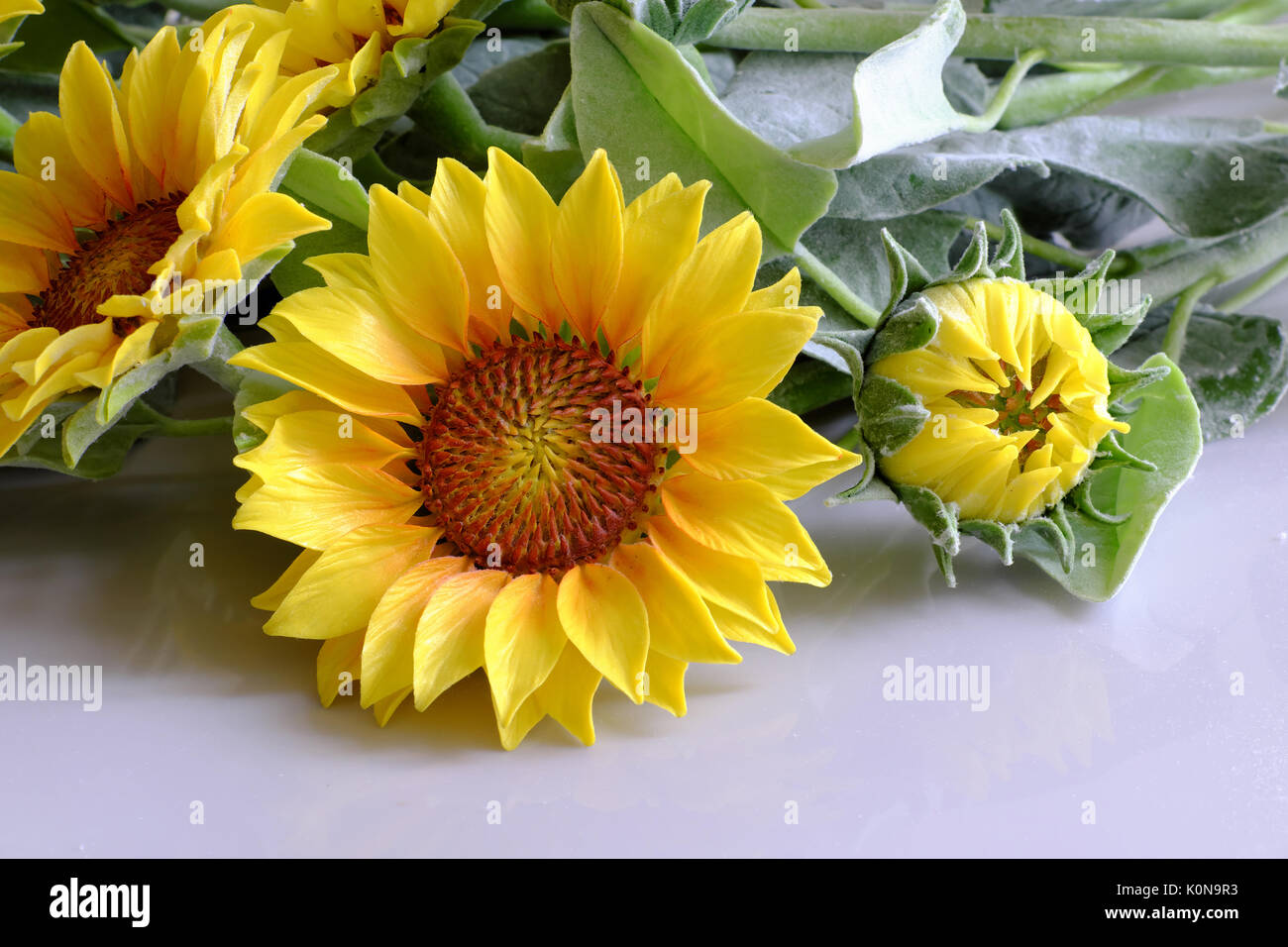Fleur Dargile Incroyable Des Produits Pour La Décoration