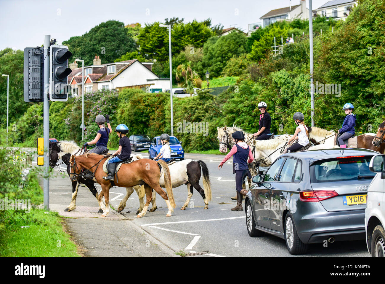 Les cavaliers holding up traffic alors qu'ils traversent une route à Newquay en Cornouailles. Banque D'Images