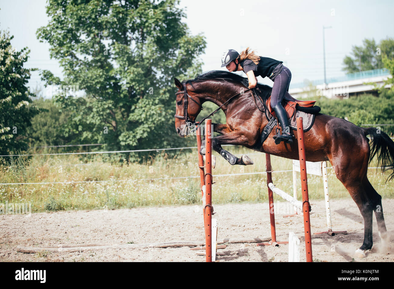 Jeune femme jockey à Cheval sautant par-dessus obstacle Banque D'Images