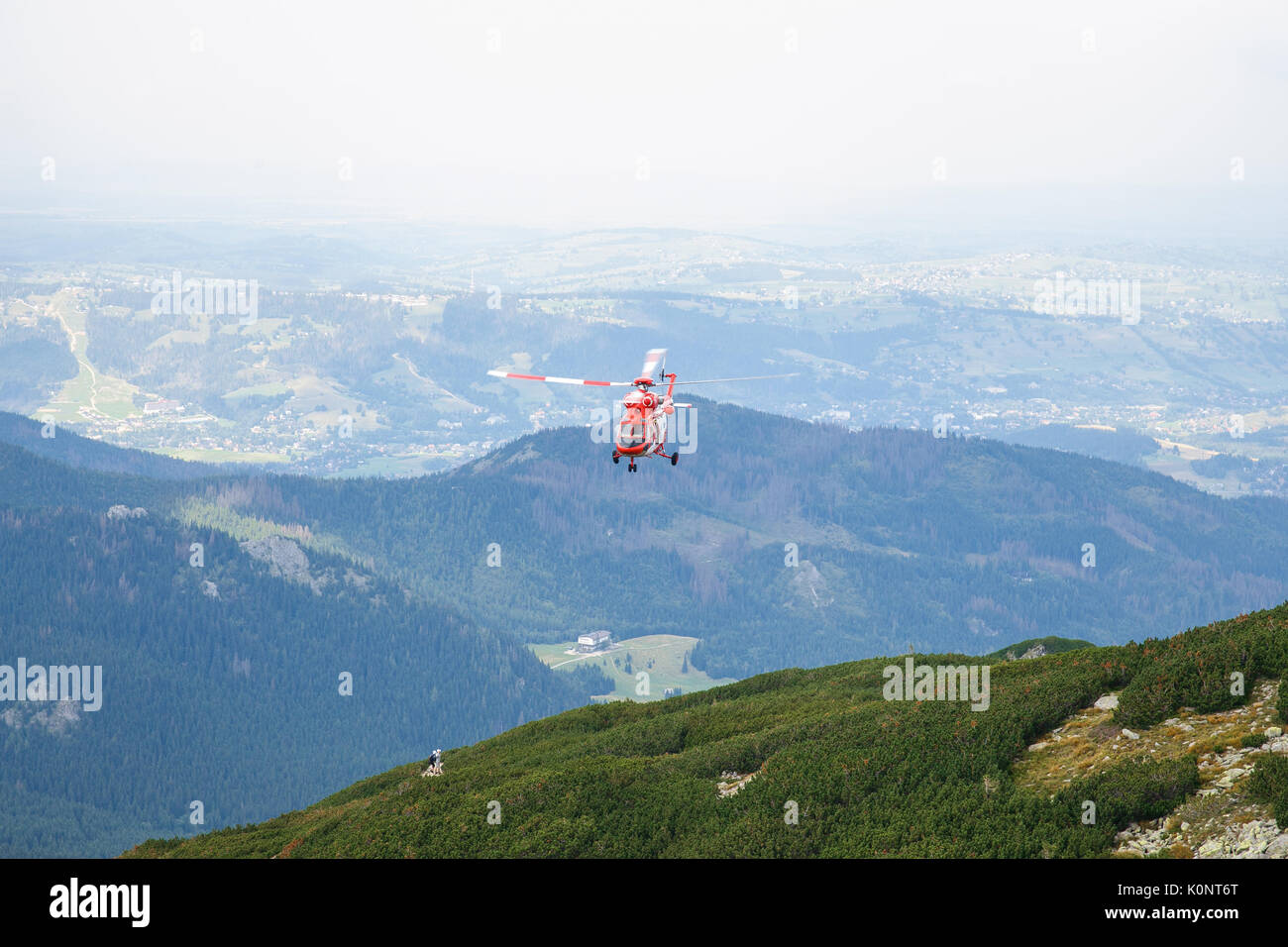 Big Tatry à la Pologne et la Slovaquie. Les animaux sauvages, belle nature, lacs et rivières. 2017 Banque D'Images
