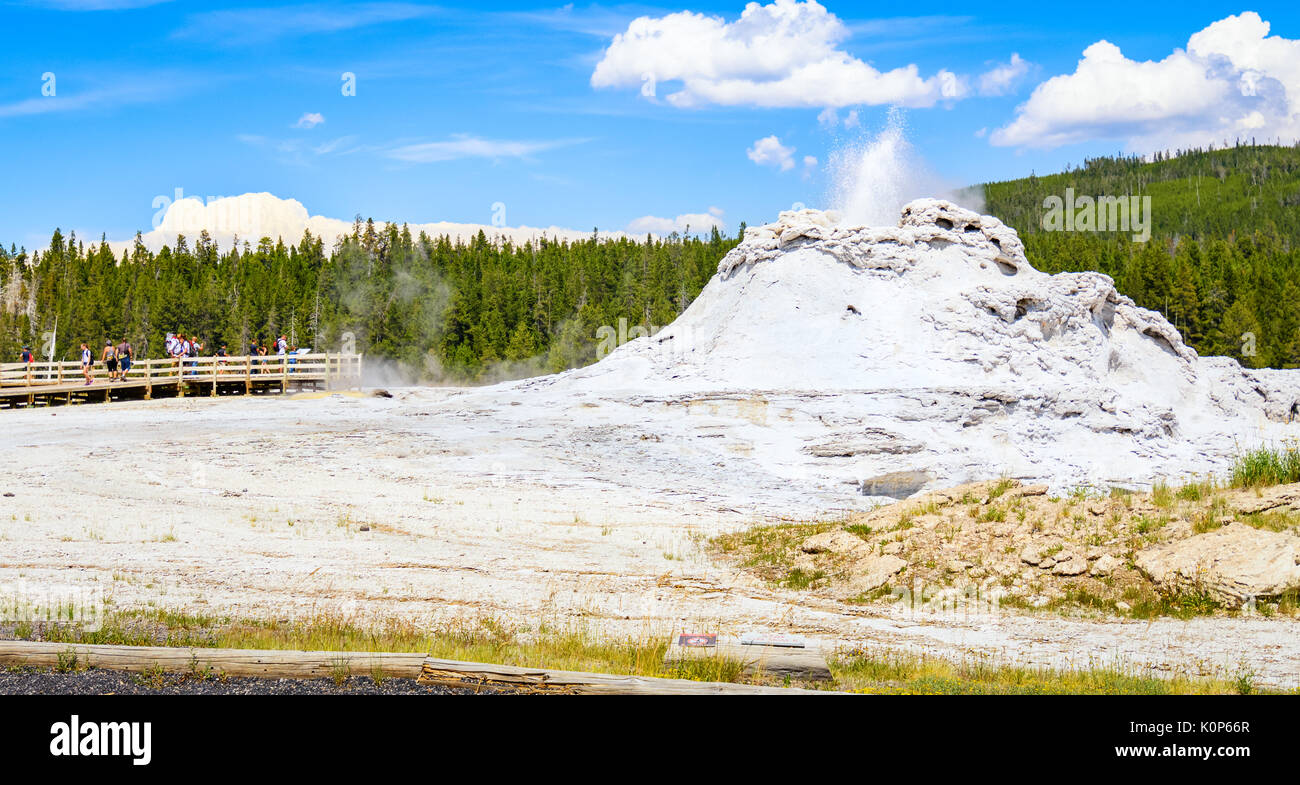 Castle geyser éclate avec de l'eau chaude et de la vapeur avec des piscines de bactéries thermophiles et c'est un geyser de cône dans la partie supérieure du bassin de la Nati yellowstone geyser Banque D'Images