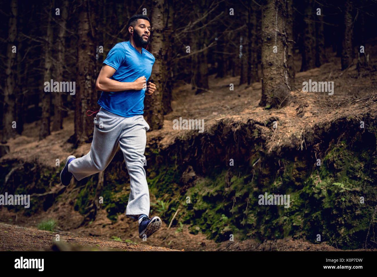 Low angle view of young man running par trees in forest Banque D'Images