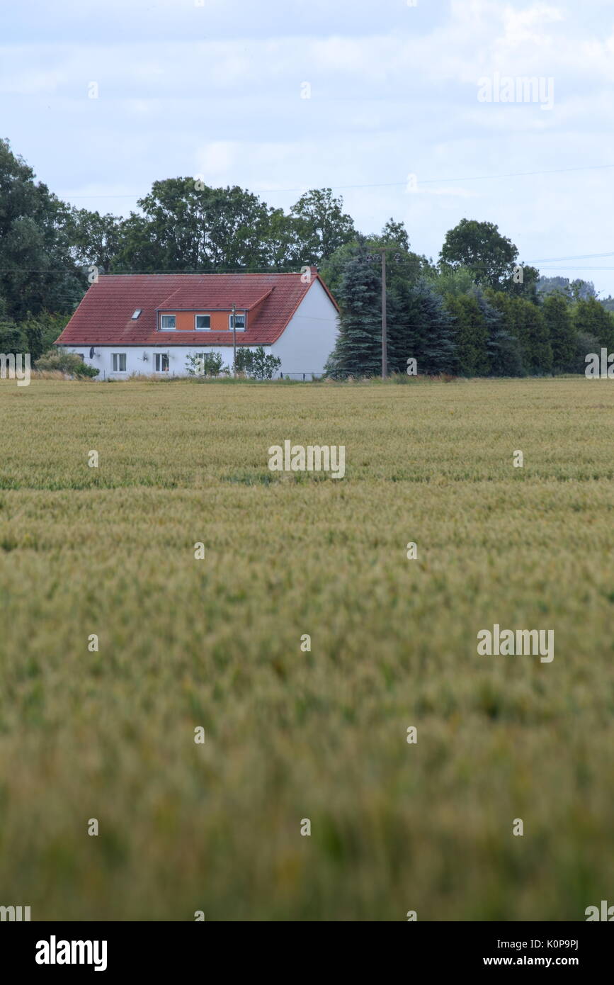 Vue sur champ à la ferme historique Holzenhof (lit. oak farm) à Jager, Mecklenburg-Vorpommern, Allemagne. Banque D'Images