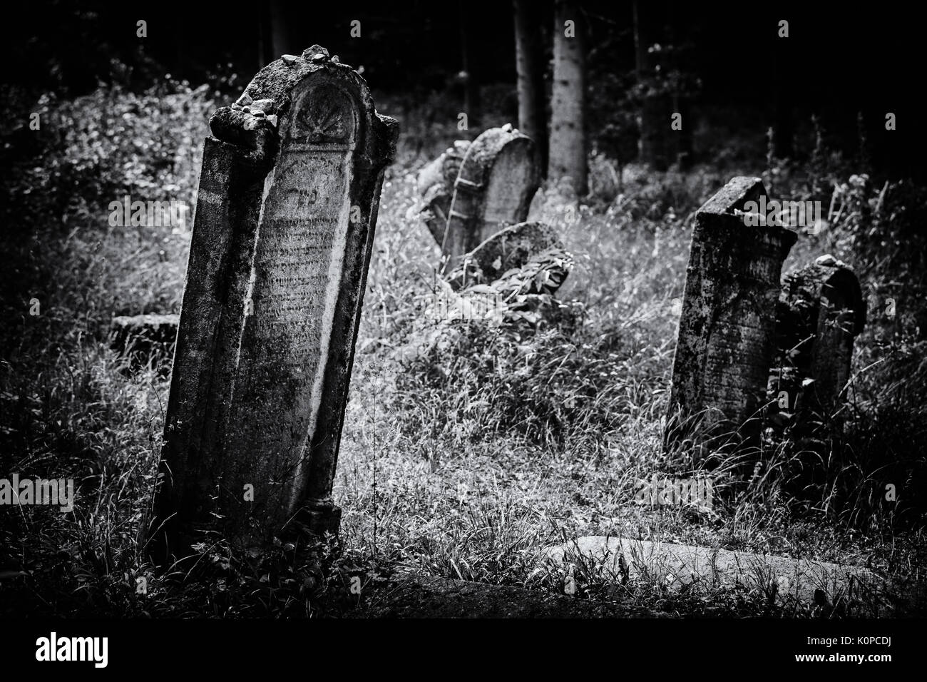 Vieux cimetière juif abandonné au-dessus du village dobra Voda, en Slovaquie. Bw (illustration) Banque D'Images