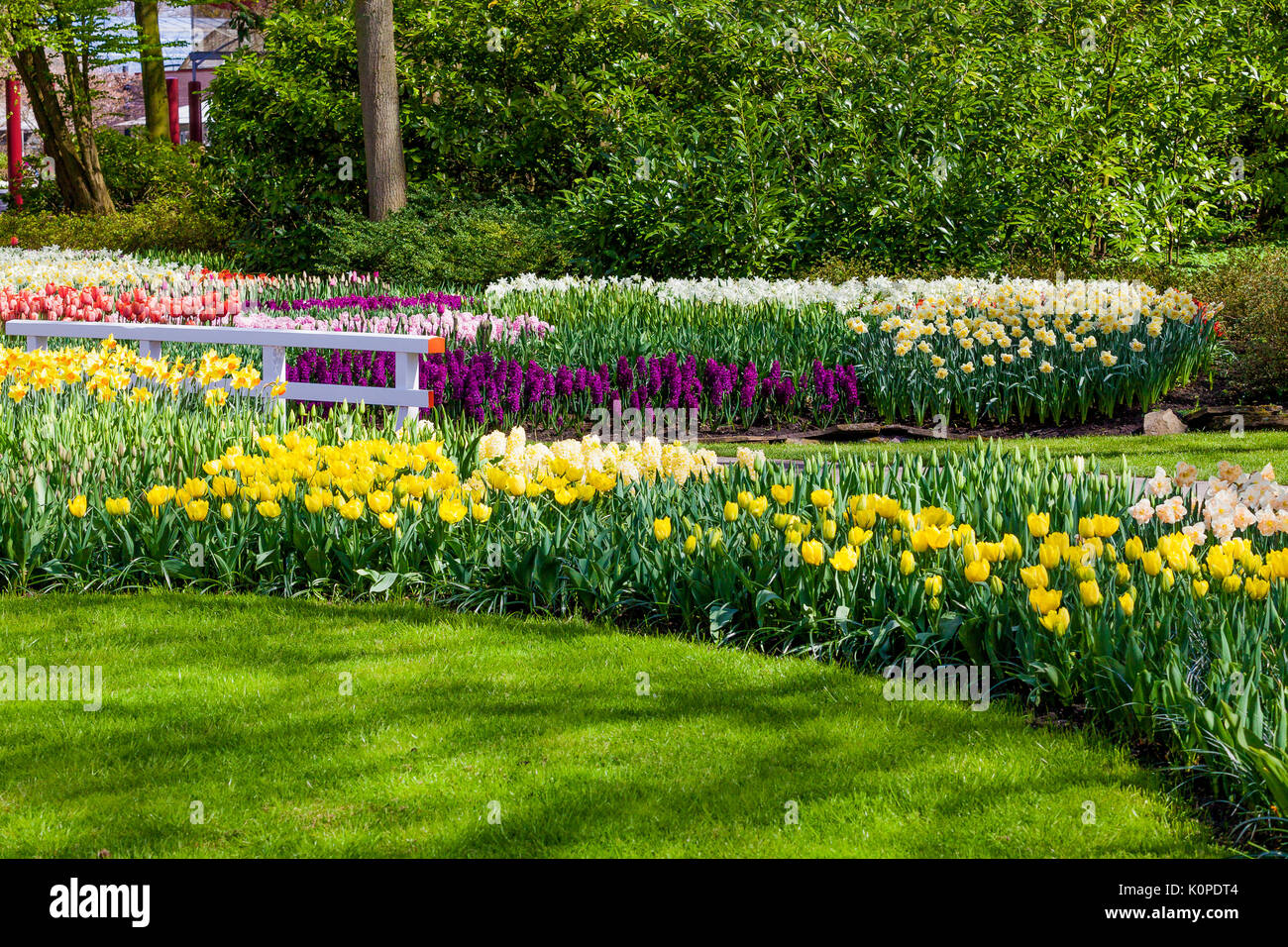 Paysage jardin Jardin design moderne.. Cour et Jardin paysagé Banque D'Images