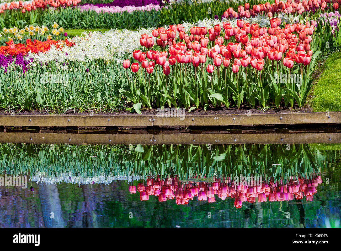 Paysage jardin Jardin design moderne.. Cour et Jardin paysagé Banque D'Images