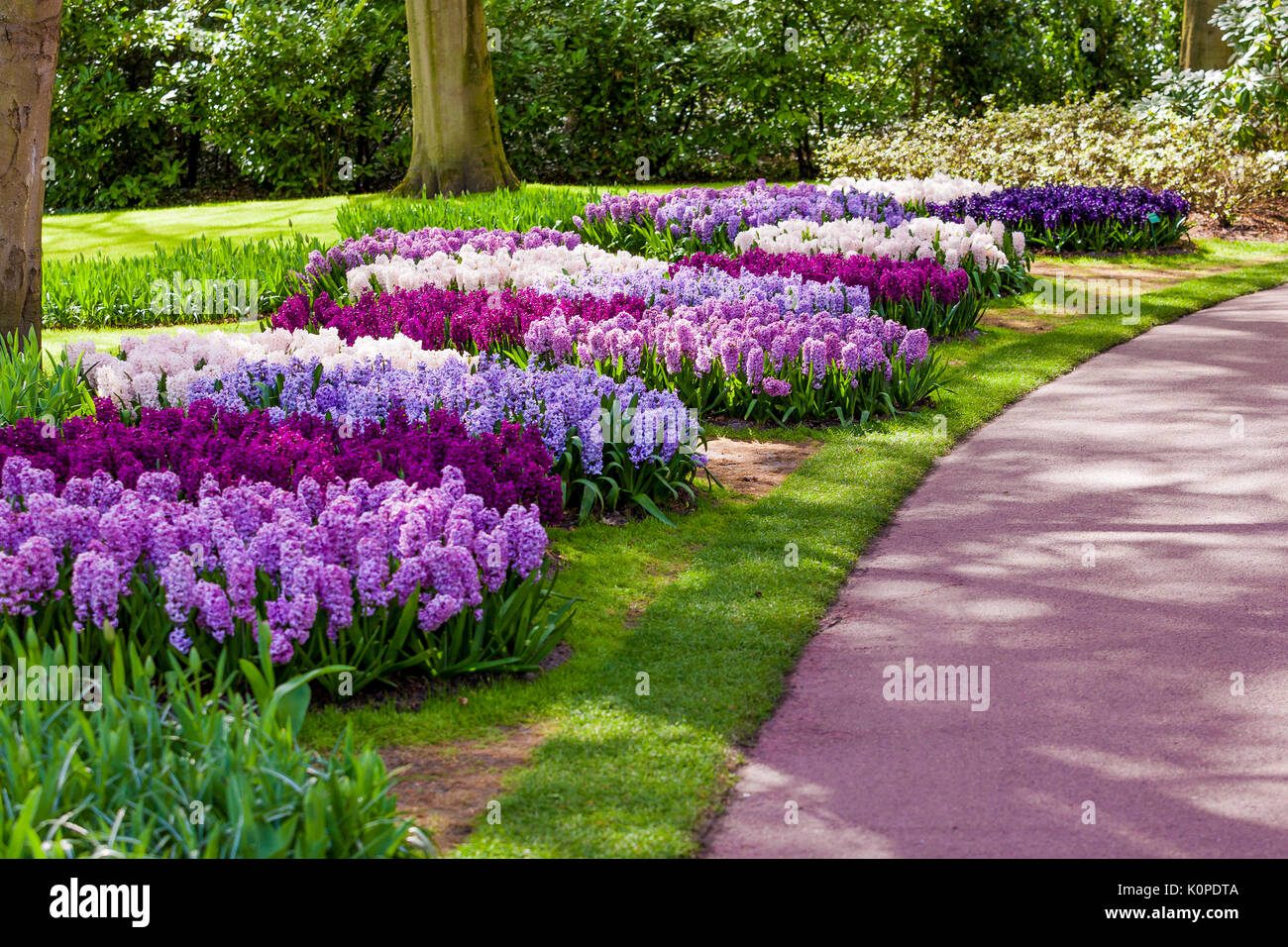 Paysage jardin Jardin design moderne.. Cour et Jardin paysagé Banque D'Images
