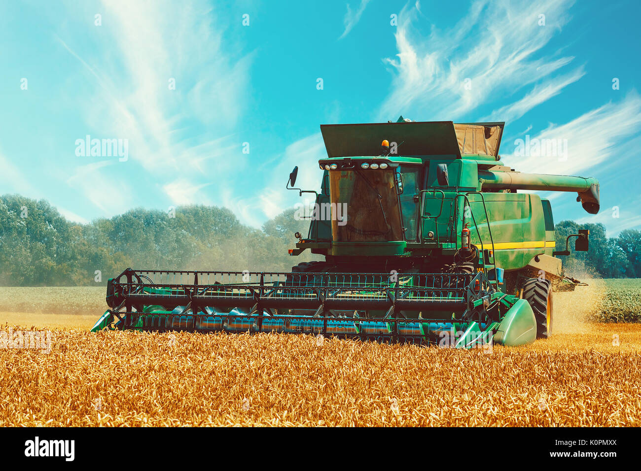 Photo de moissonneuse-batteuse, c'est la récolte. belle arrière-plan d'un champ avec des épis de blé mûrs d'or et bleu ciel Banque D'Images