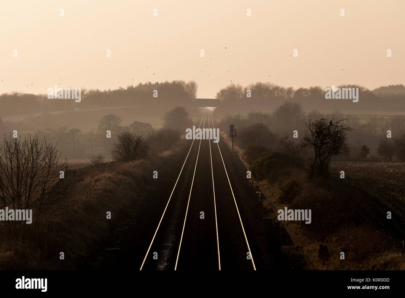 La vue vers l'ouest le long de la ligne de chemin de fer à Rigg, près de Gretna Green, Ecosse Banque D'Images