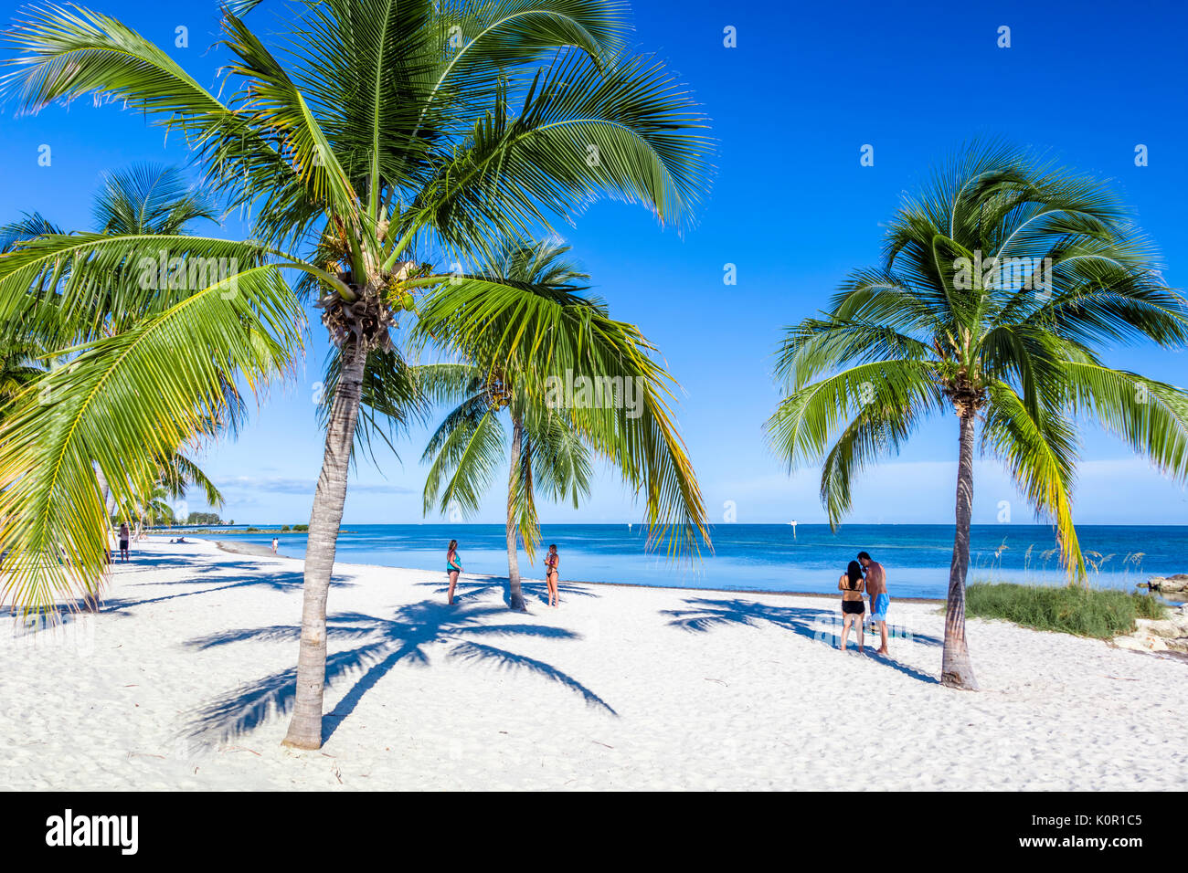 Des palmiers et des gens sur sandy Smathers Beach sur l'océan Atlantique à Key West en Floride le jour d'un ciel bleu Banque D'Images