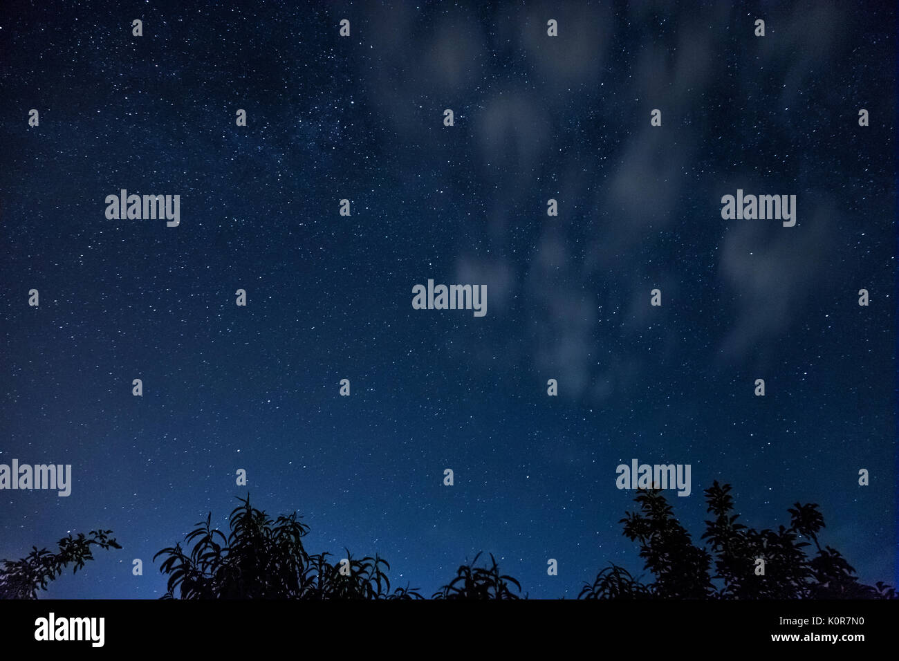 Magnifique cadre des étoiles dans le ciel nocturne. photo réelle. Banque D'Images