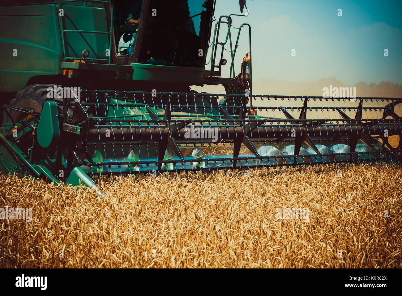 Photo de moissonneuse-batteuse, c'est la récolte. belle arrière-plan d'un champ avec des épis de blé mûrs d'or et bleu ciel Banque D'Images