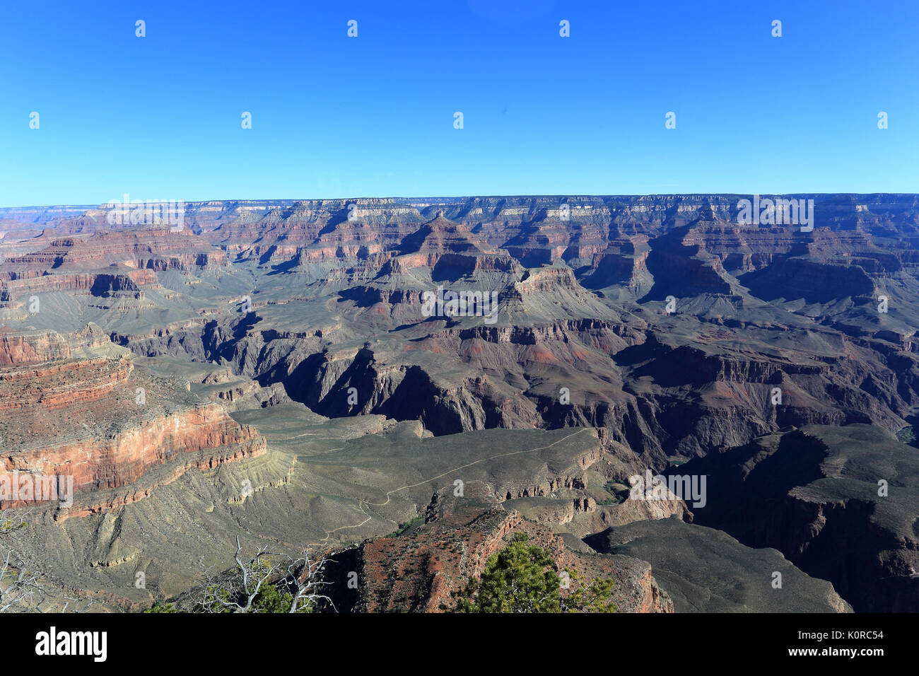Grand Canyon National Park Arizona USA Banque D'Images