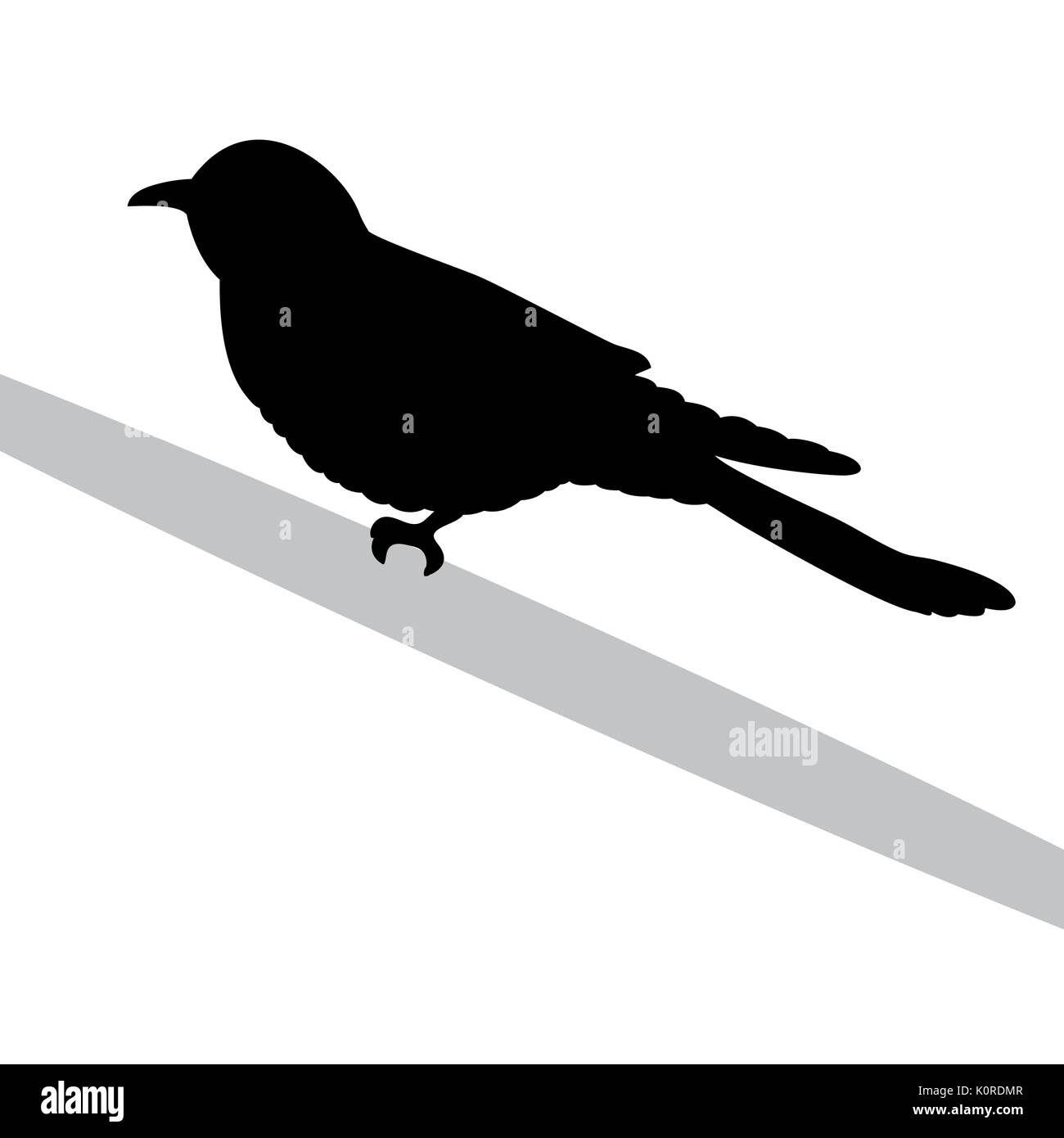 Cuckoo bird silhouette noire animal. Vector Illustrator. Illustration de Vecteur