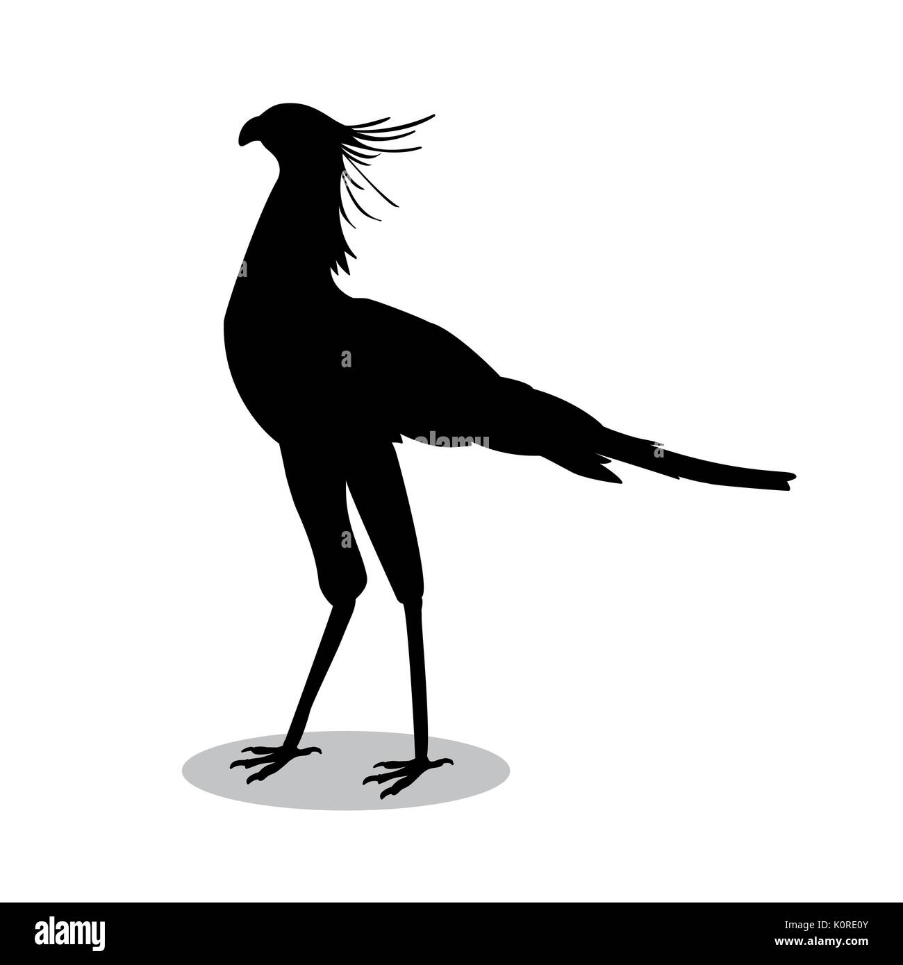 Oiseau secrétaire silhouette noire animal. Vector Illustrator. Illustration de Vecteur