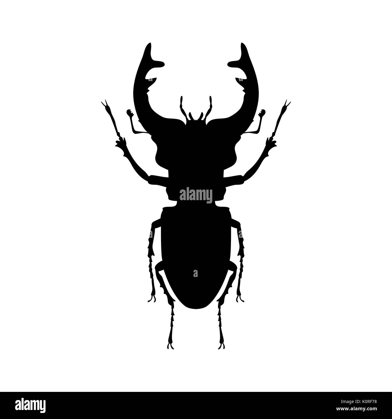 Stag beetle insecte animal silhouette noire. Vector Illustrator. Illustration de Vecteur