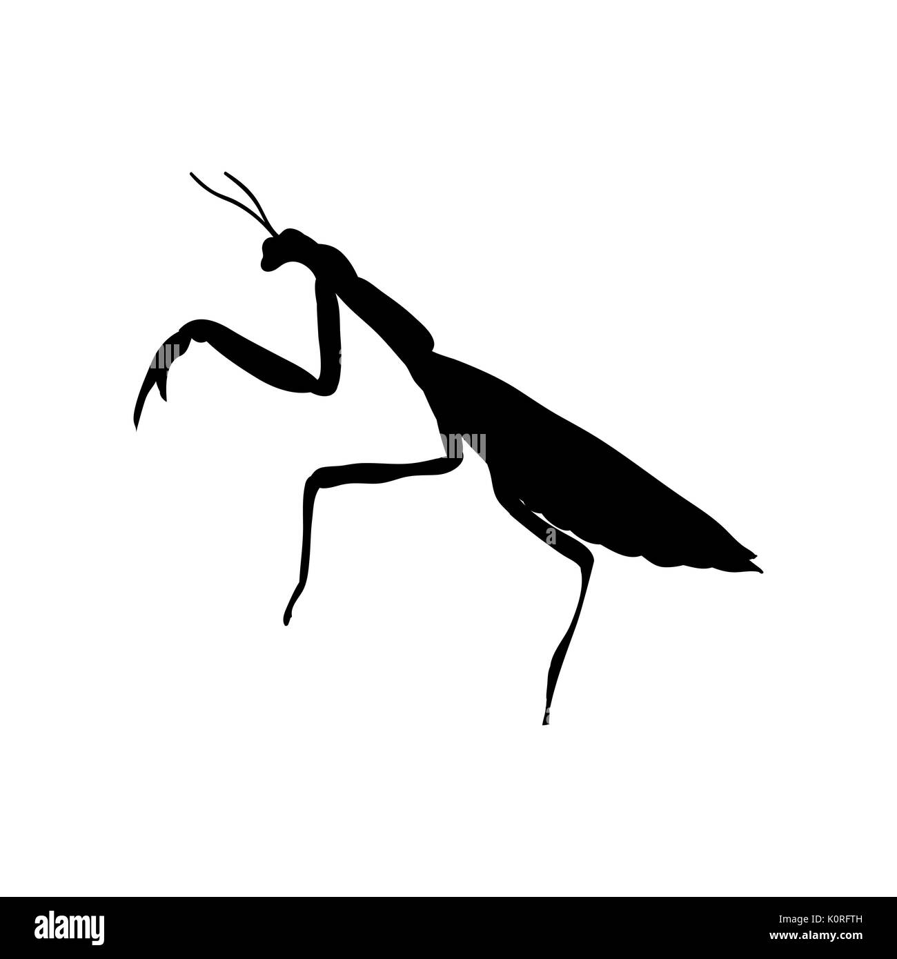 Insecte mante religieuse silhouette noir animal. Vector Illustrator. Illustration de Vecteur