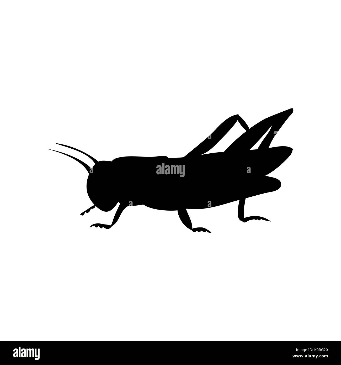 Insectes sauterelle criquet silhouette noir animal. Vector Illustrator. Illustration de Vecteur