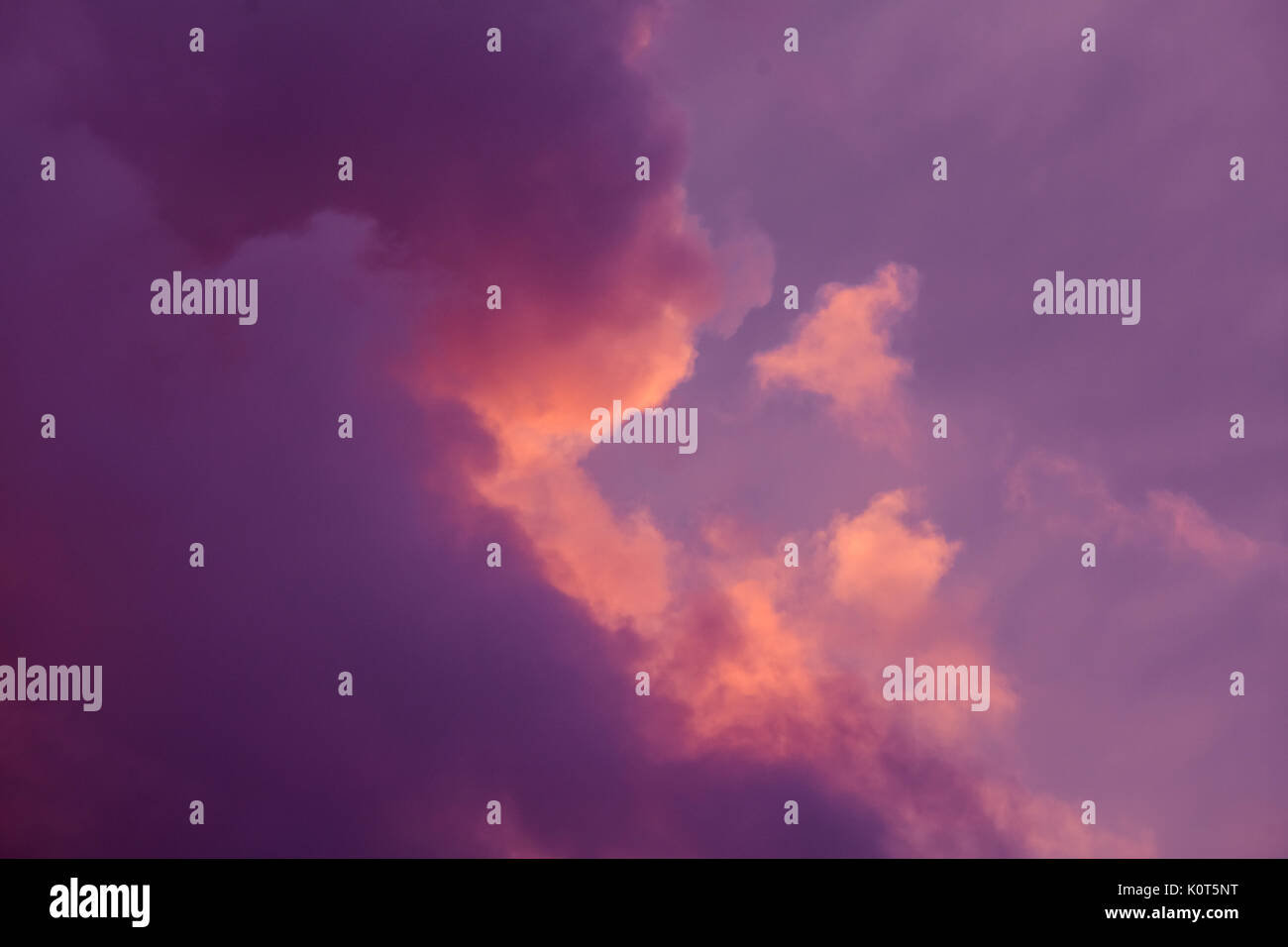 De magnifiques nuages colorés dans le ciel du soir. Rose clair, nuages dans le ciel au coucher du soleil. Skyscape belle soirée. Abstract, violet sur fond rose Banque D'Images