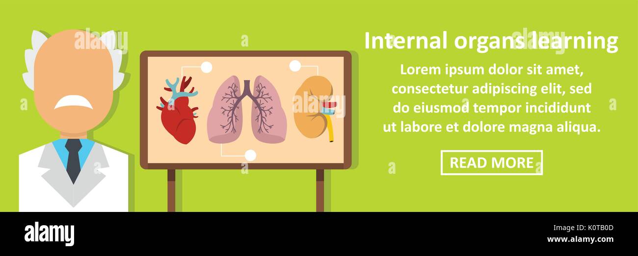 Les organes internes de la bannière d'apprentissage concept horizontal Illustration de Vecteur