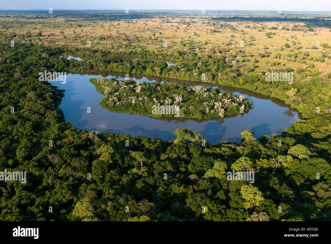 Une île sur une baie dans le Pantanal qui sert de perchoir pour les oiseaux d'eau Banque D'Images