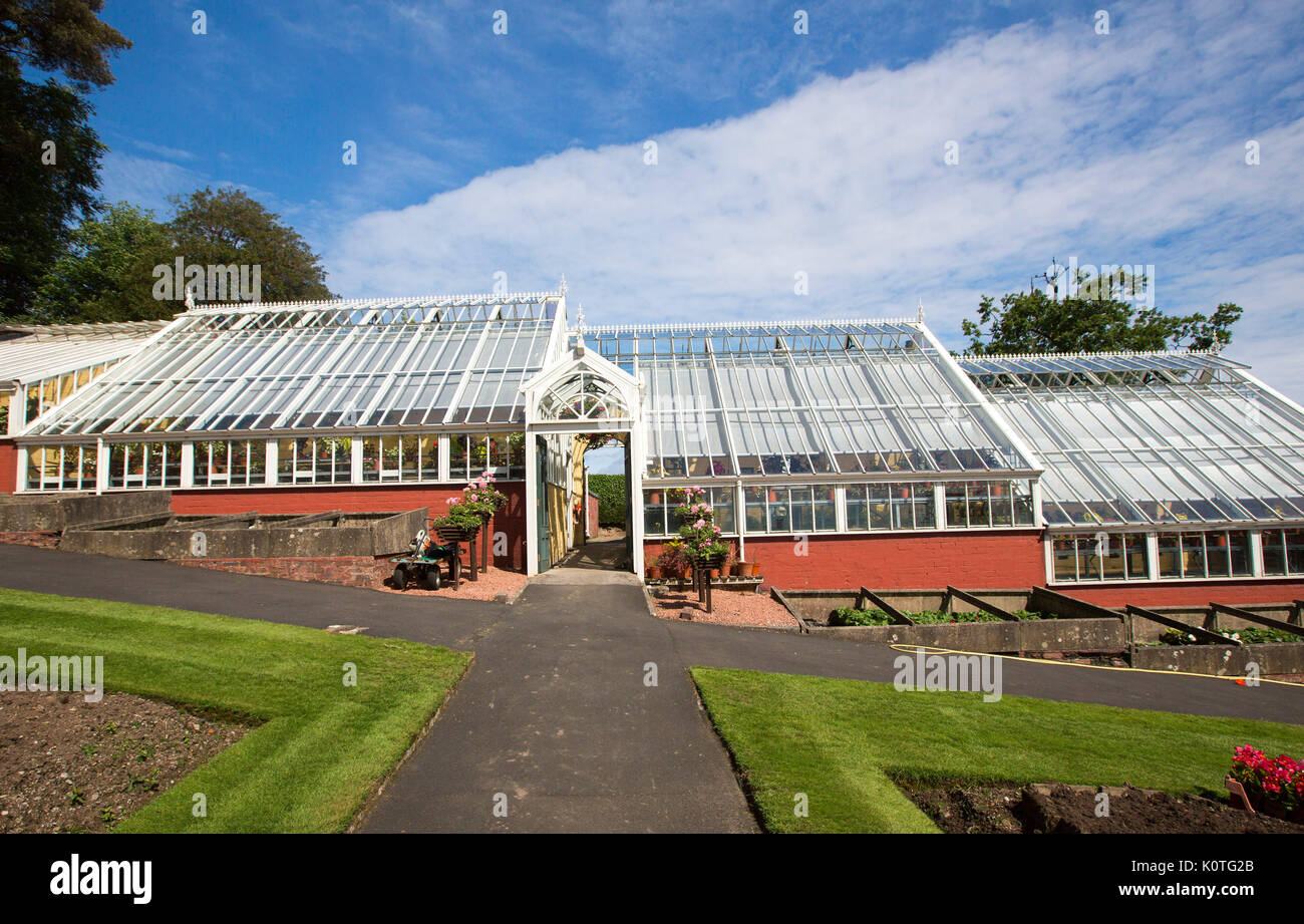 Ornate complexe de serres à Ardencraig gardens sur Bute, avec mur peint rouge section inférieure &pelouse en premier plan under blue sky Banque D'Images