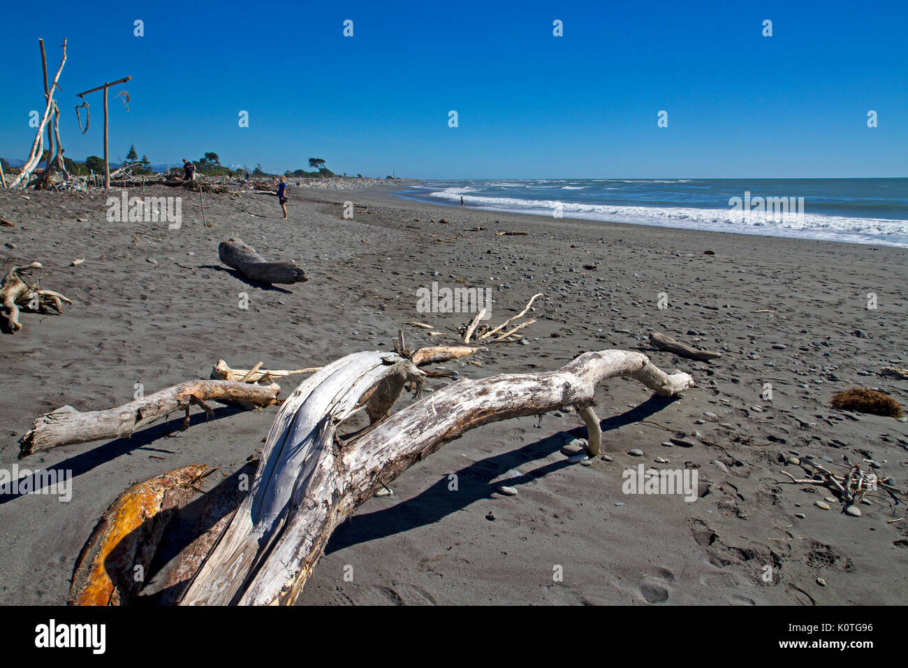 Driftwood sur Hokitika Beach Banque D'Images