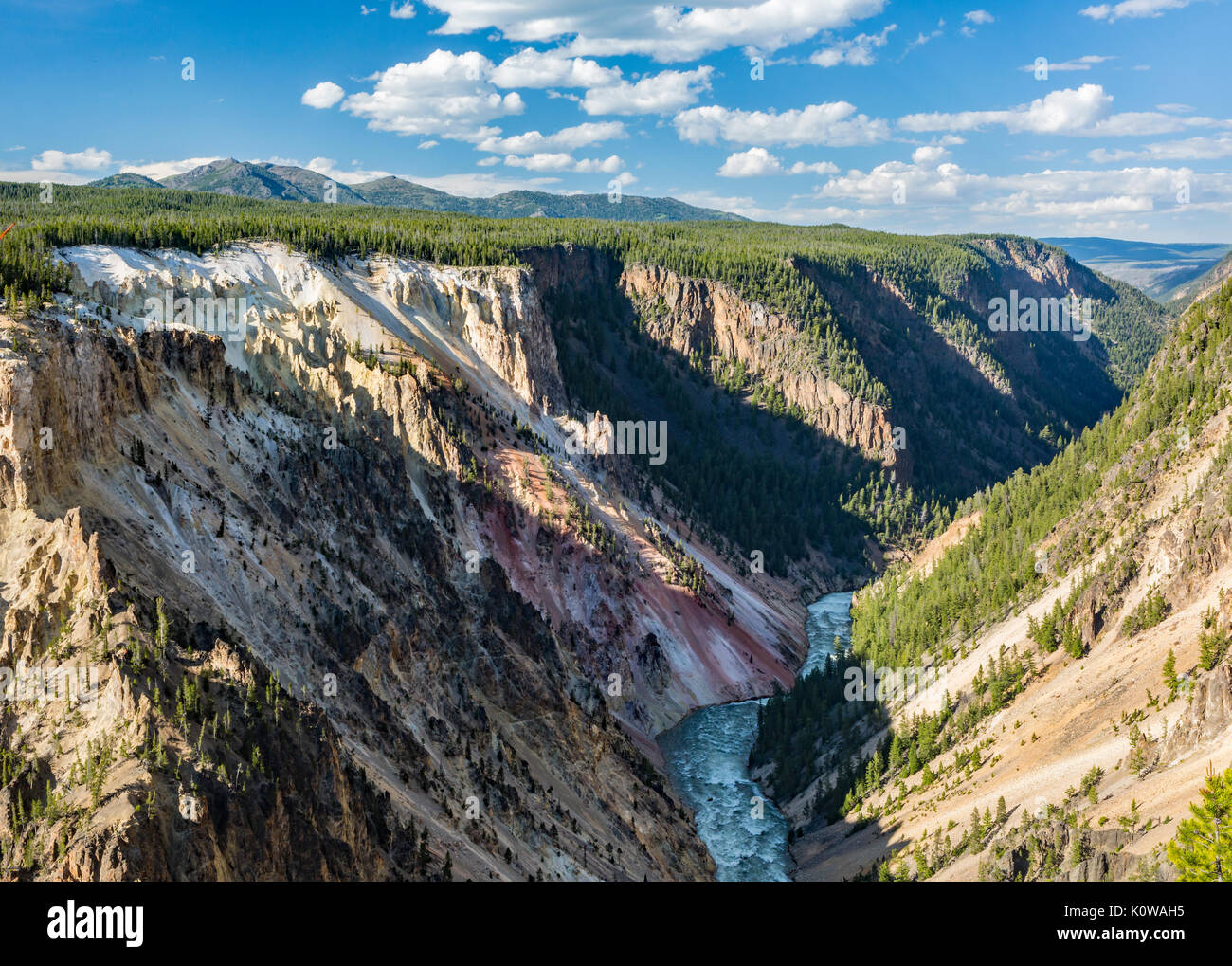 Les parois boisées de la partie inférieure du Grand Canyon de la Yellowstone a partir de la rive sud dans le Parc National de Yellowstone, Wyoming Banque D'Images