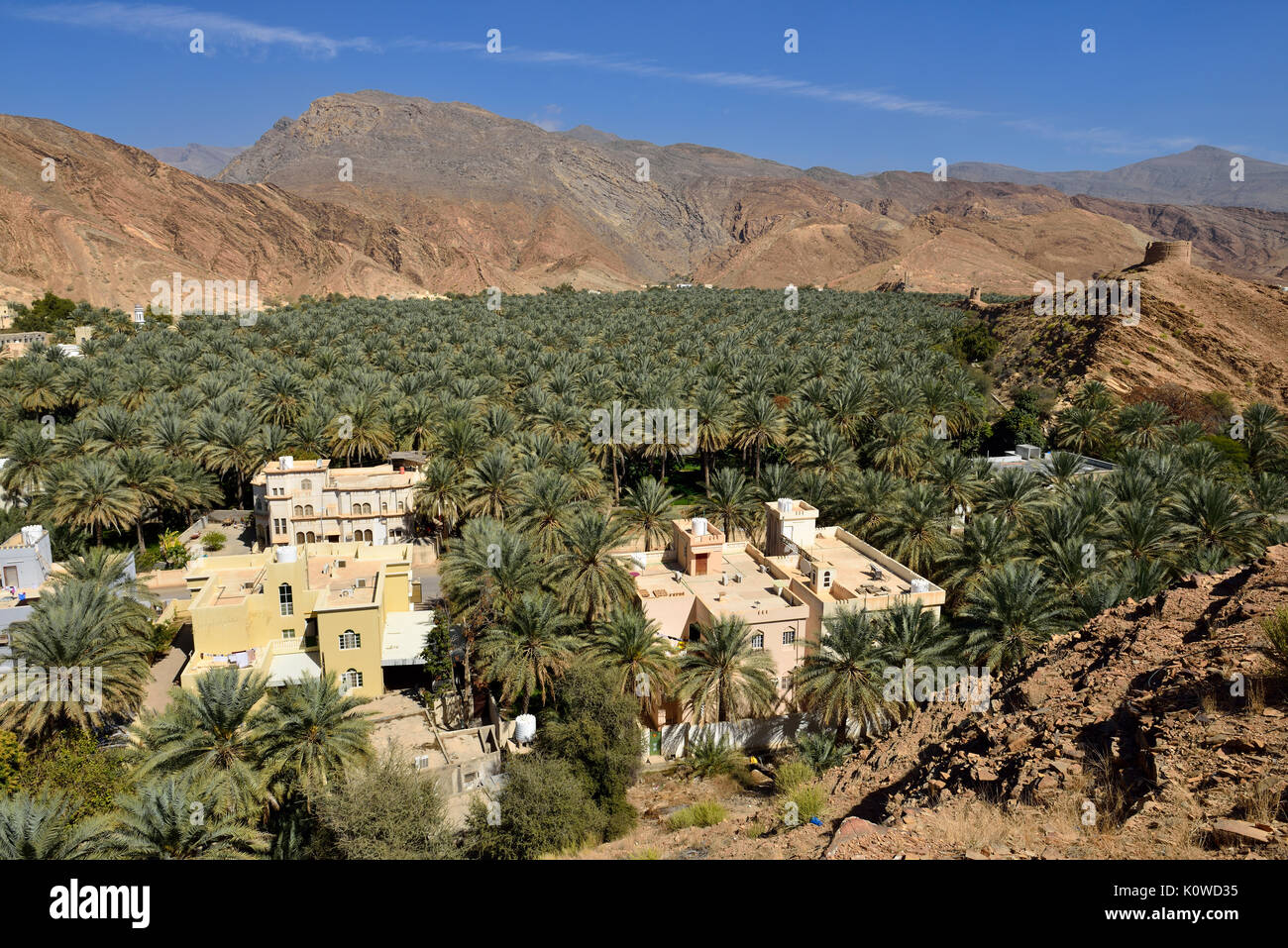 Birkat al Mawz oasis, Hajar al Gharbi montagnes, Dakhiliyah, Oman Banque D'Images