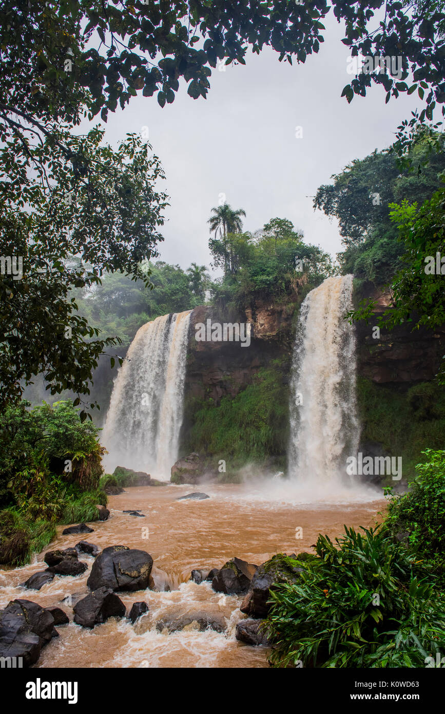 Chutes d'Adam et Eve, chutes d'Iguazú, Iguazú, fleuve frontière entre le Brésil et l'Argentine, Foz Do Iguacu, Parana, Brésil Banque D'Images