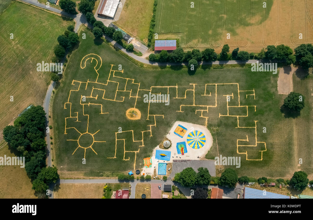 Labyrinthe de maïs Terhardt, aire de jeux pour enfants, Heidkantweg 90, labyrinthe, Haltern am See, Ruhr, Rhénanie du Nord-Westphalie, Allemagne Banque D'Images