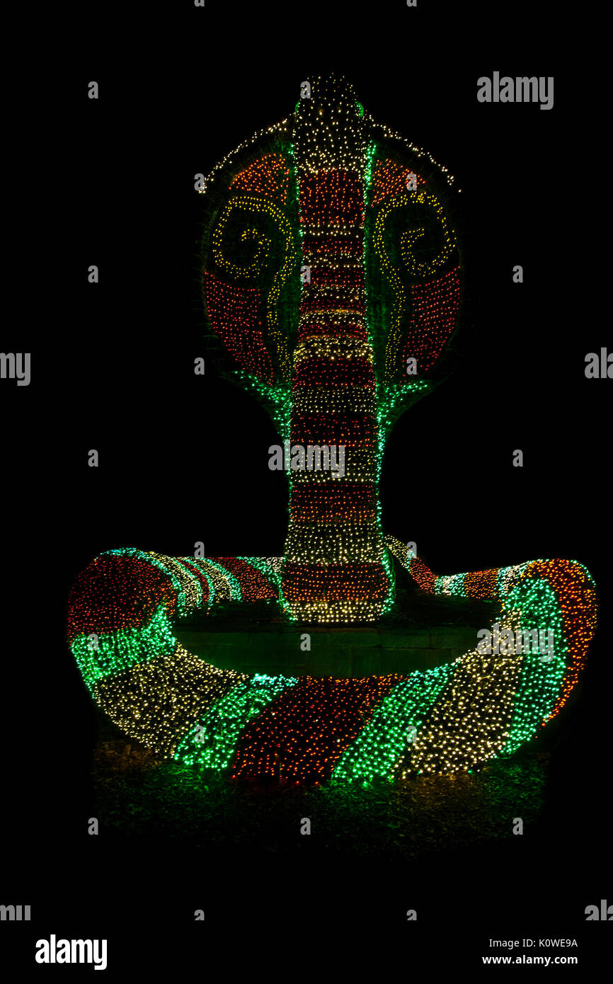 Candy canne cobra serpent topiaire avec des lumières de vacances la nuit, Atlanta Botanical Gardens, Atlanta, Géorgie, États-Unis,Drôle isolé, scène de jardin de Noël Banque D'Images
