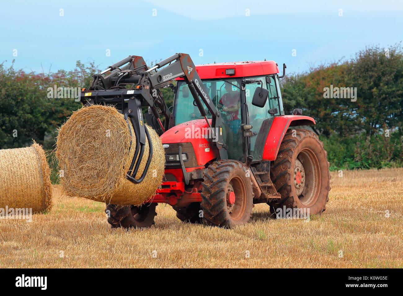 Un agriculteur perçoit sa série de bottes de paille dans un champ avec son  tracteur spécialement adaptés avec une pince pour ramasser les balles  énormes et les faisant tourner Photo Stock -