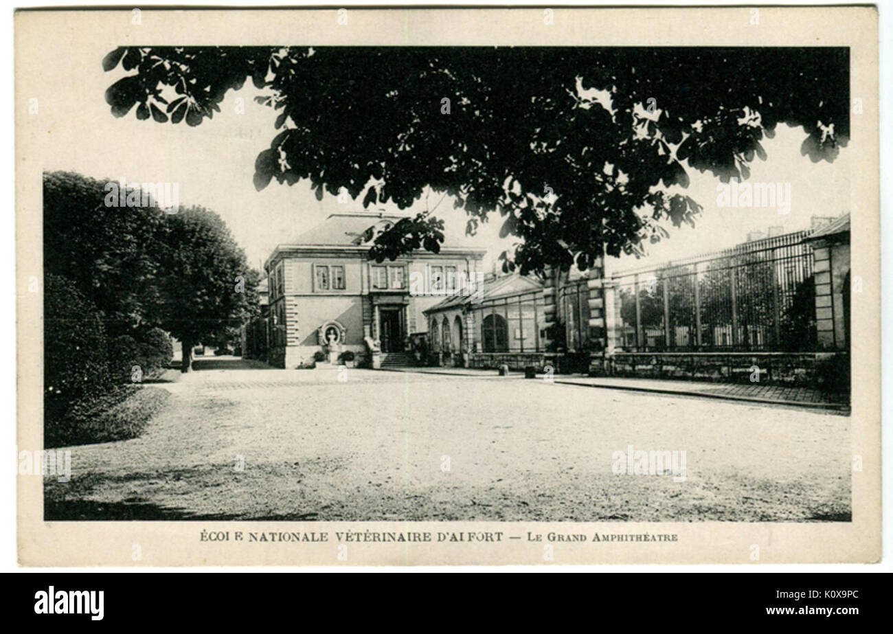 Alfort CP02 Banque D'Images