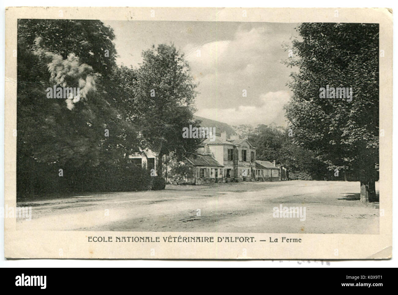 Alfort CP37 Banque D'Images