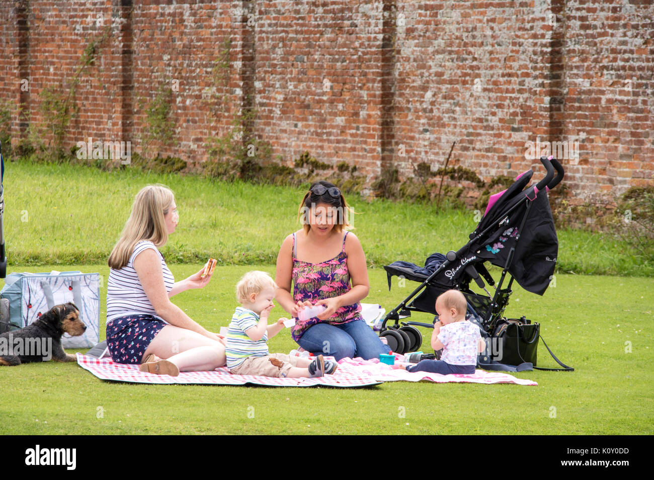 Deux mères avec des bébés ayant un pique-nique estival, England, UK Banque D'Images