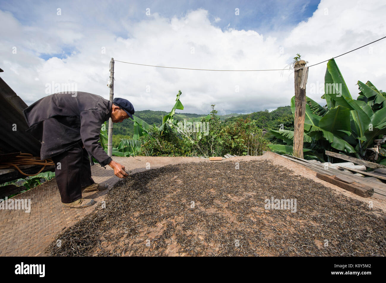 Minoriy ethniques Bulang agriculteur, le Xishuangbanna, Yunnan, Chine Banque D'Images