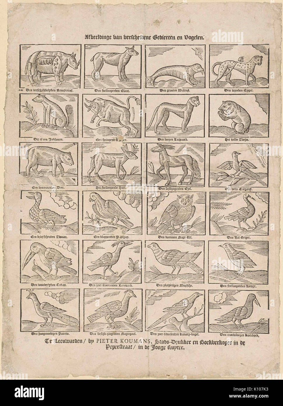 En gedierten Afbeeldinge van verscheidene vogelen Banque D'Images