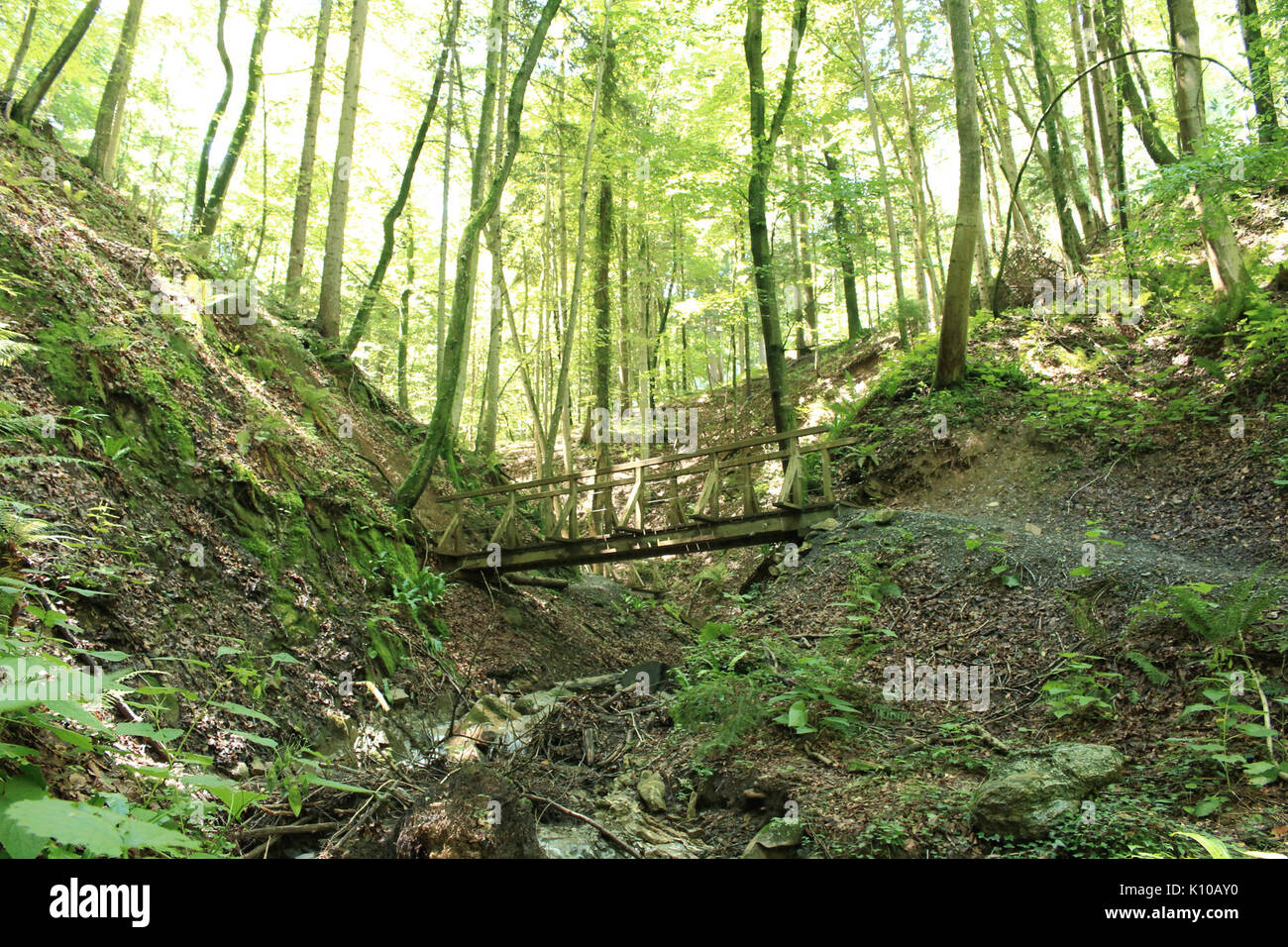 Altenbachklamm (14) Banque D'Images