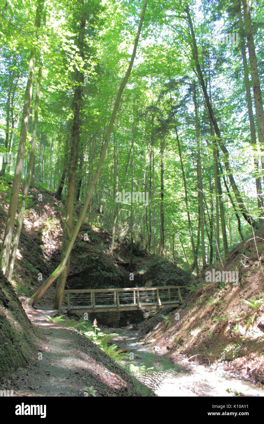 Altenbachklamm (13) Banque D'Images