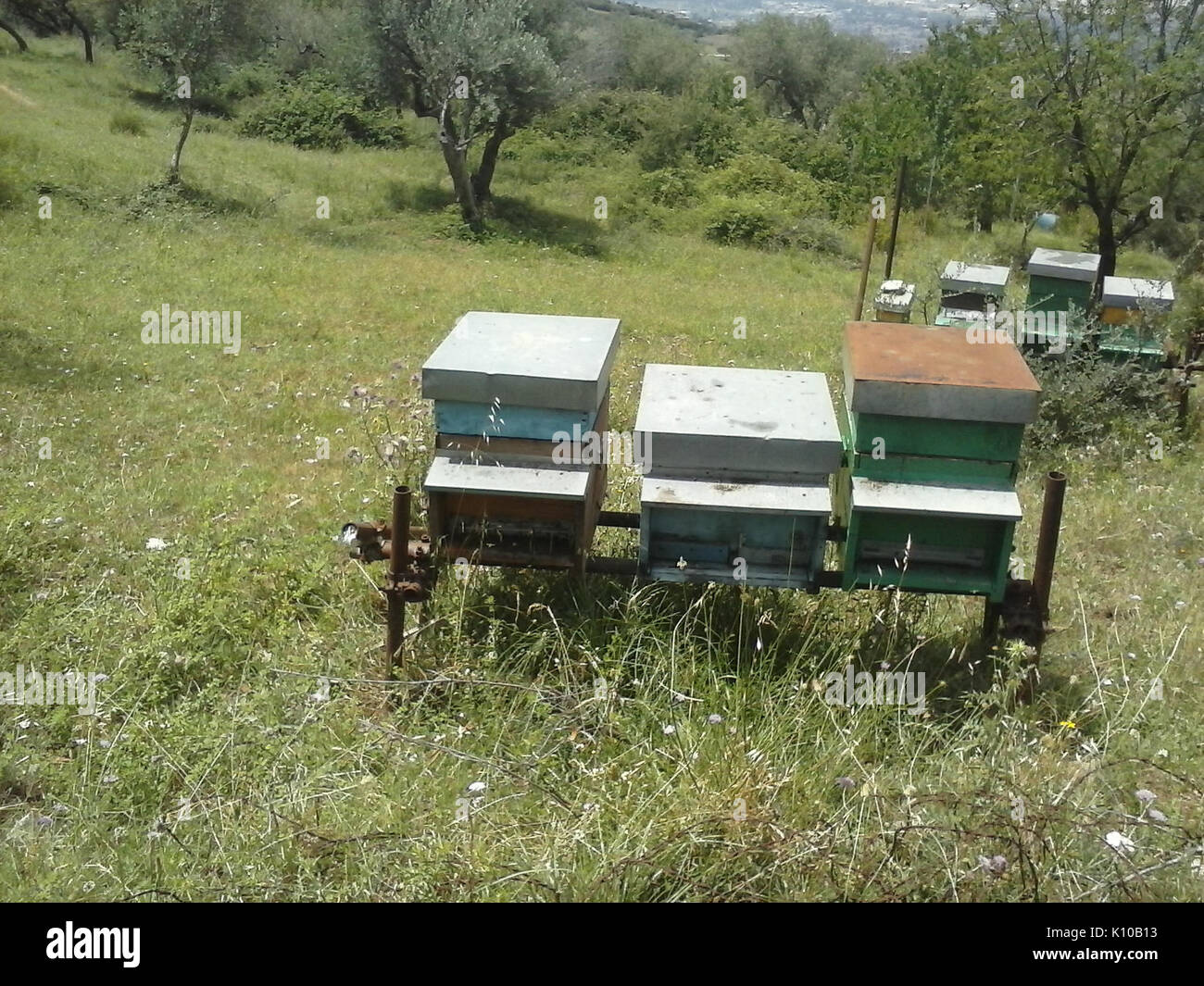 Animaux Animali (14661718143) Banque D'Images