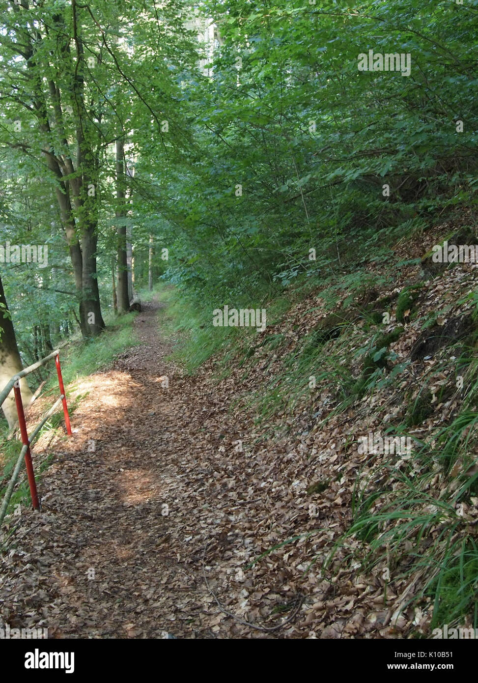 Altenbrak im Philosophenweg (20) Banque D'Images