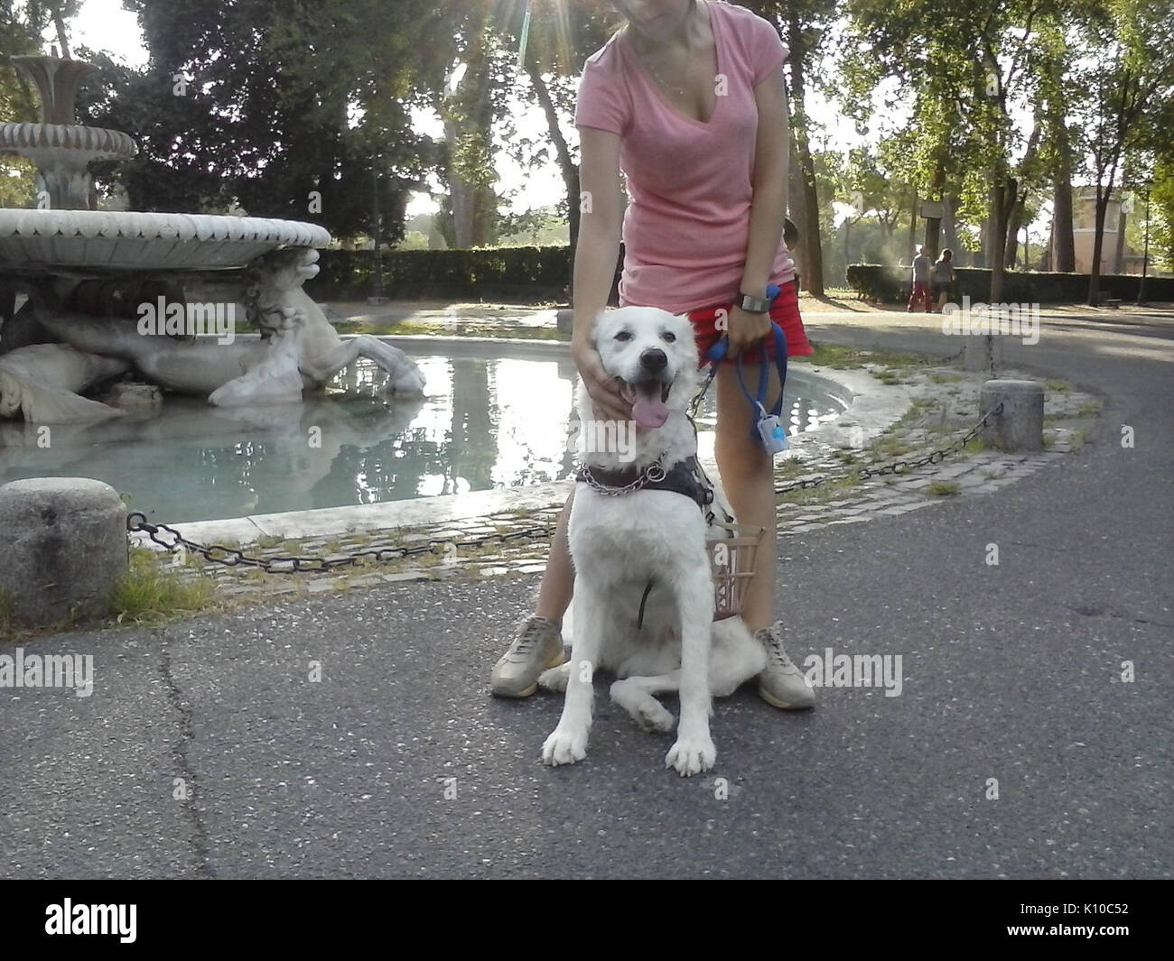 Animaux Animali (14758470088) Banque D'Images