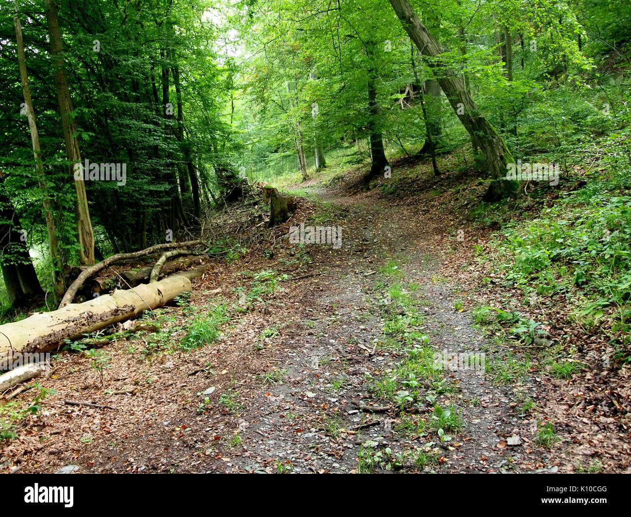 Altenbrak Naturlehrpfad (3) Banque D'Images