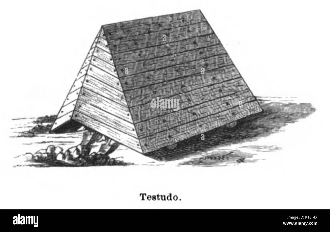 Bender Testudo Banque D'Images