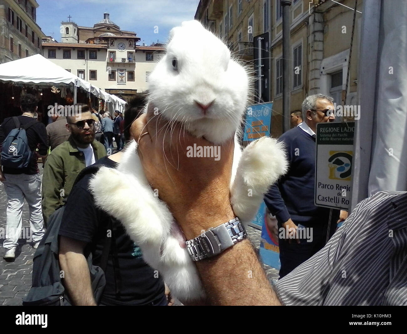 Animaux Animali (17331254572) Banque D'Images