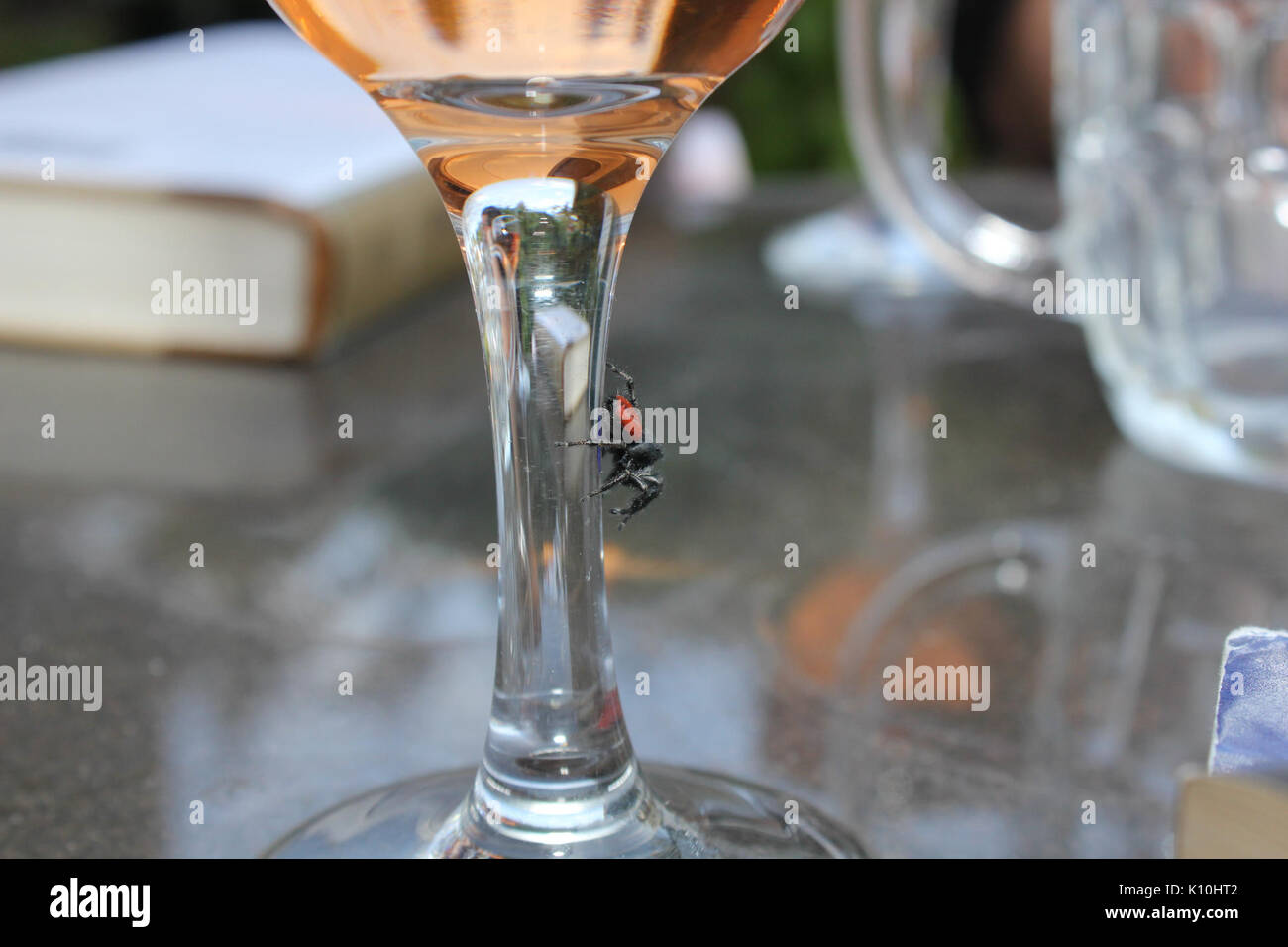 Une soirée à l'extérieur (19673889404) Banque D'Images