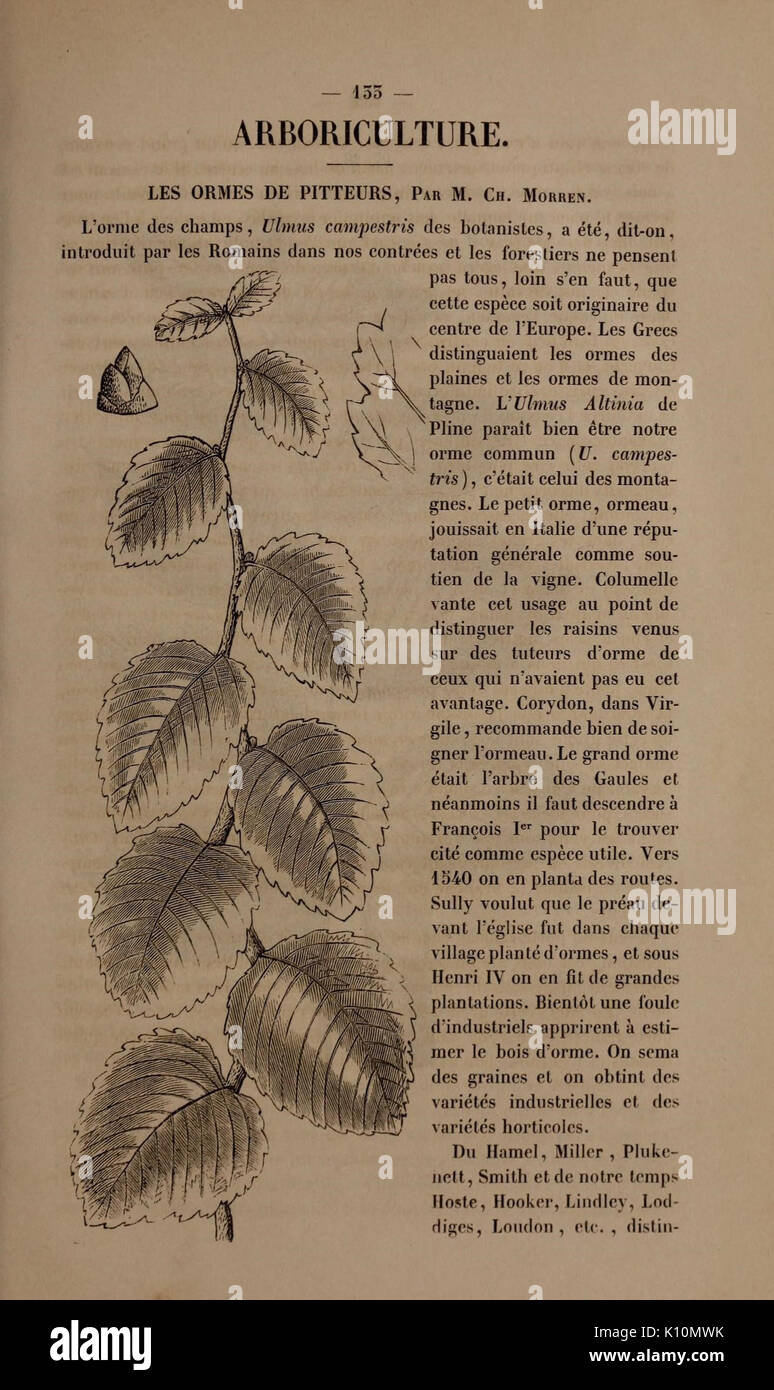 Belgique horticole (10329186155) Banque D'Images